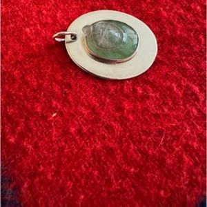 Carved jade pendant turtle emerging from a green pond.